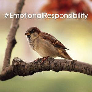 Emotional Responsibility is key!