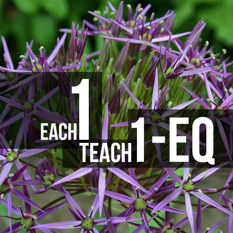 Each-1-Teach-1-EQ
